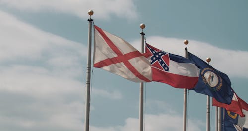 Commonwealth Flags Swaying By The Wind