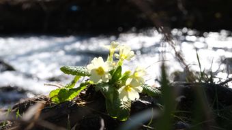 春江花月夜视频素材
