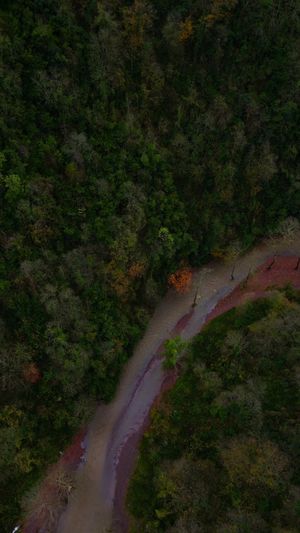 Scenic Aerial View of a Forest and River Free Stock Video Footage ...