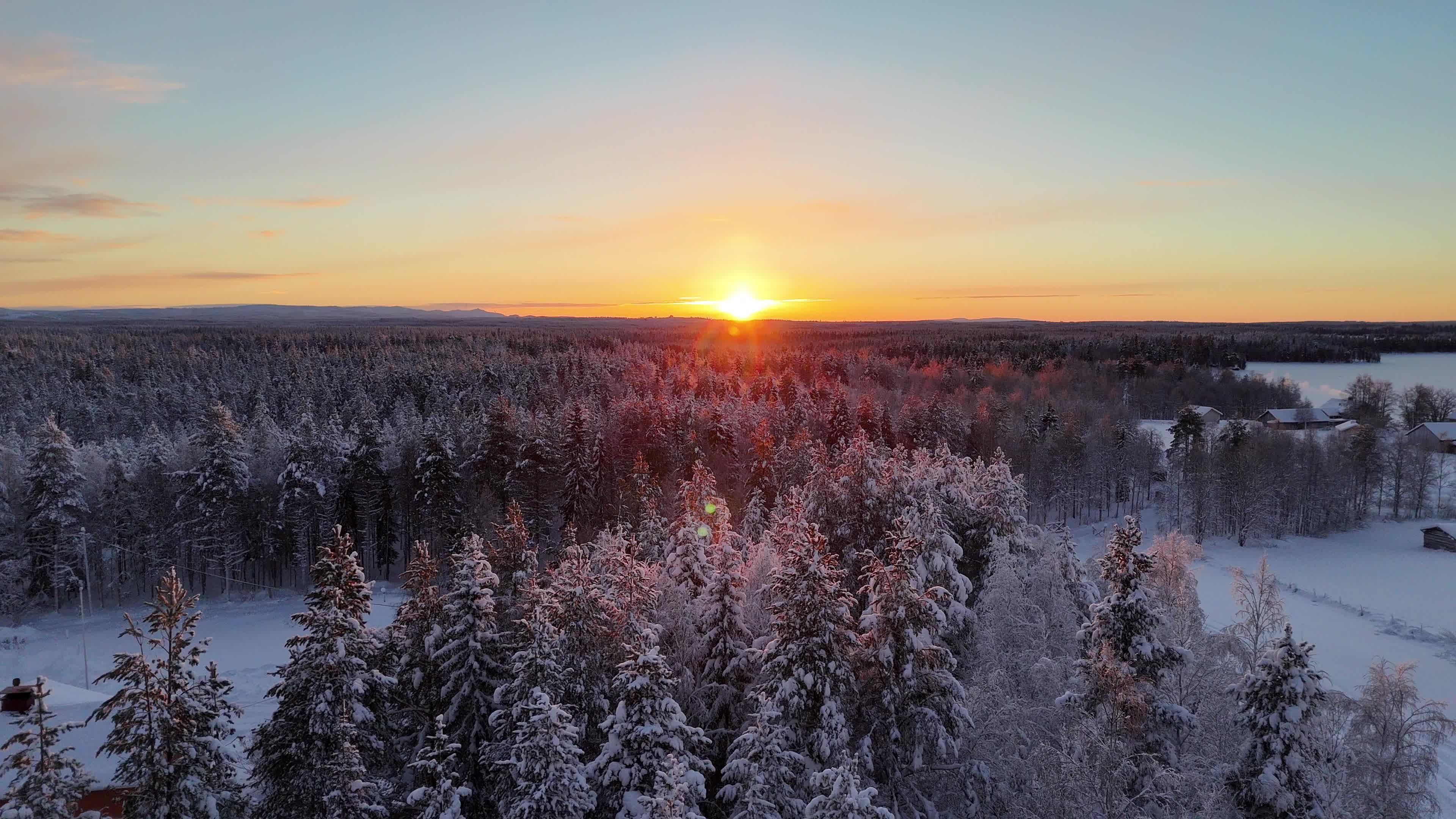Drone Footage of a Snow Covered Forest at Sunrise Free Stock Video ...
