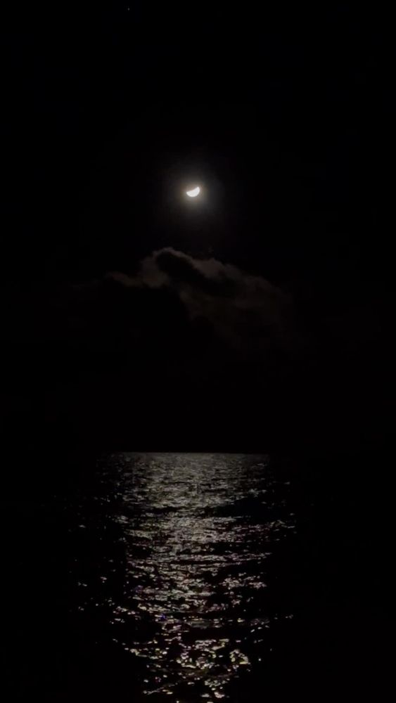 Midnight Videos, Download The BEST Free 4k Stock Video Footage ...