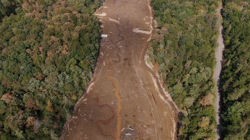 Der Trocknende Fluss Inmitten Eines Dichten Waldes