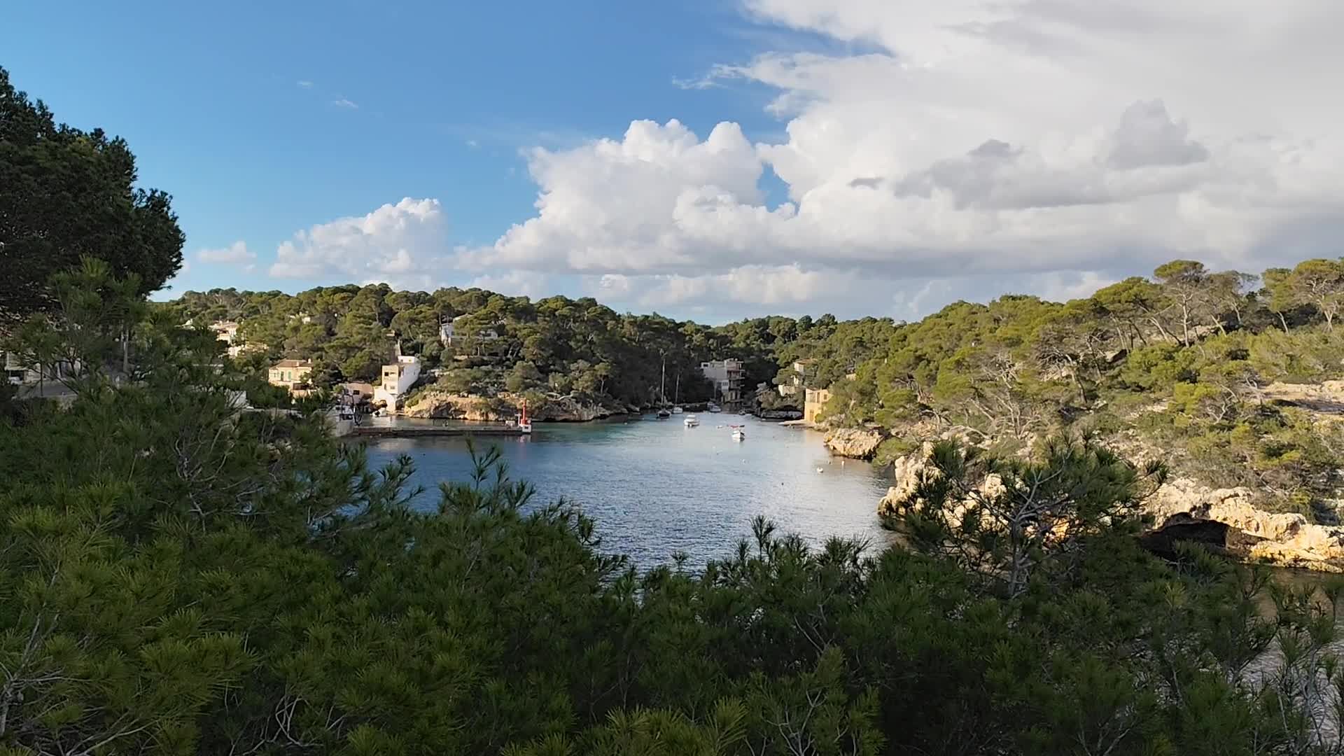 Scenic Coastal Landscape with Lush Greenery Free Stock Video Footage ...