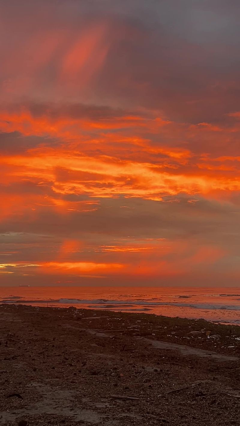 Serene Beach Sunset with Silhouetted Figures Free Stock Video Footage ...