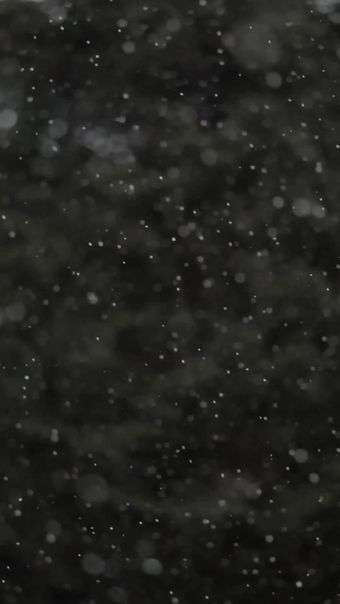 下雪高清视频视频素材视频素材