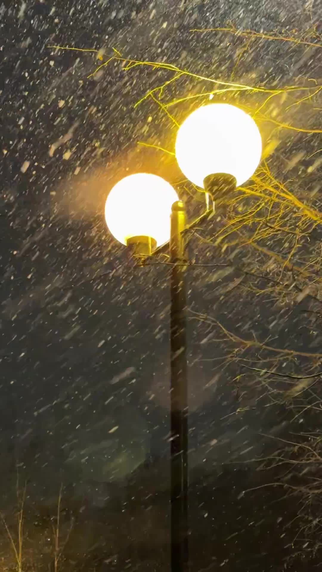 Snow Falling at Night Around Street Lamp Free Stock Video Footage ...