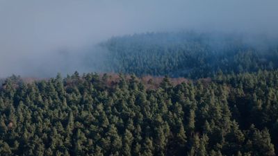 Aerial View of Misty Autumn Forest Landscape Free Stock Video Footage ...