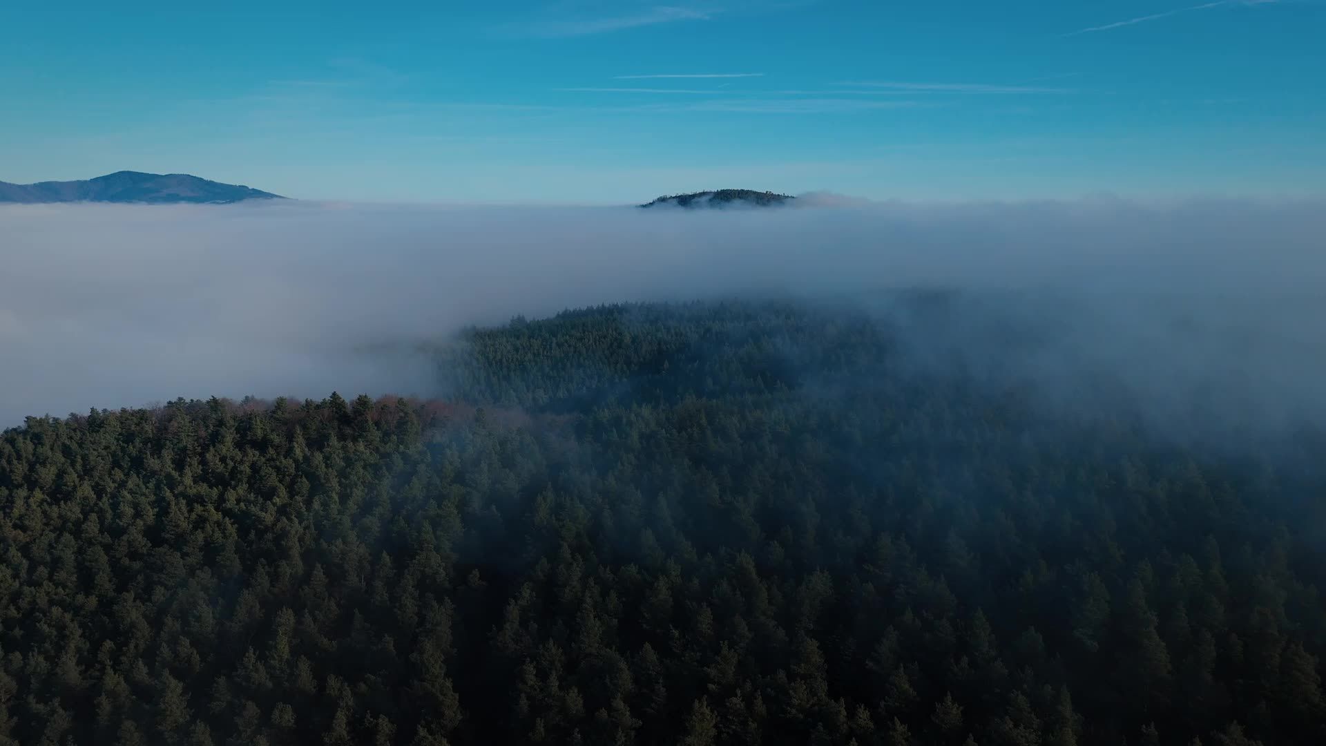 Breathtaking Aerial View of Misty Forest Free Stock Video Footage ...