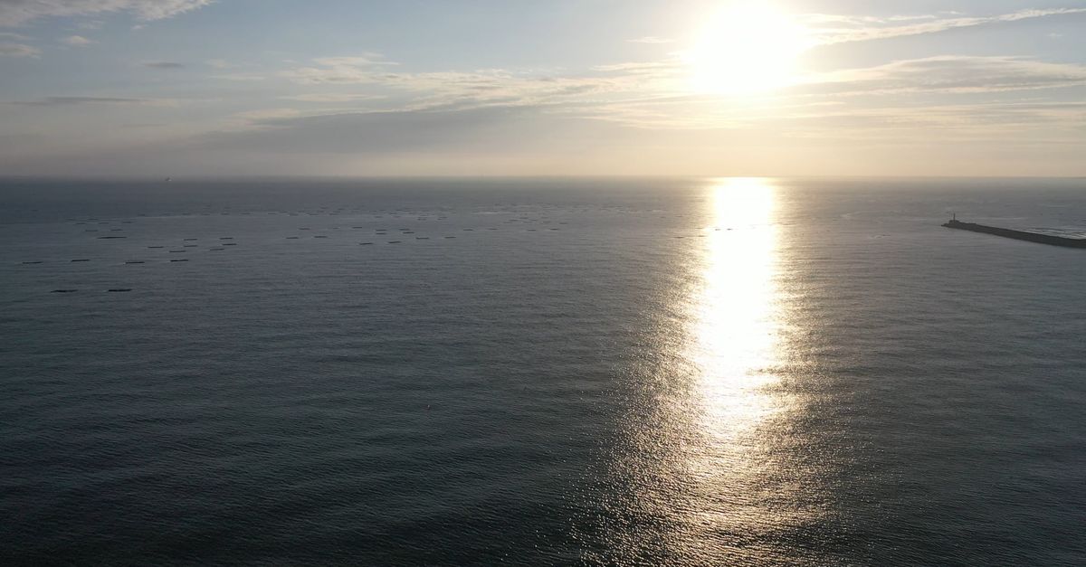 Sun Ray Reflection The Sun Rays Reflection Bouncing Off The Sea Surface · Free Stock Video