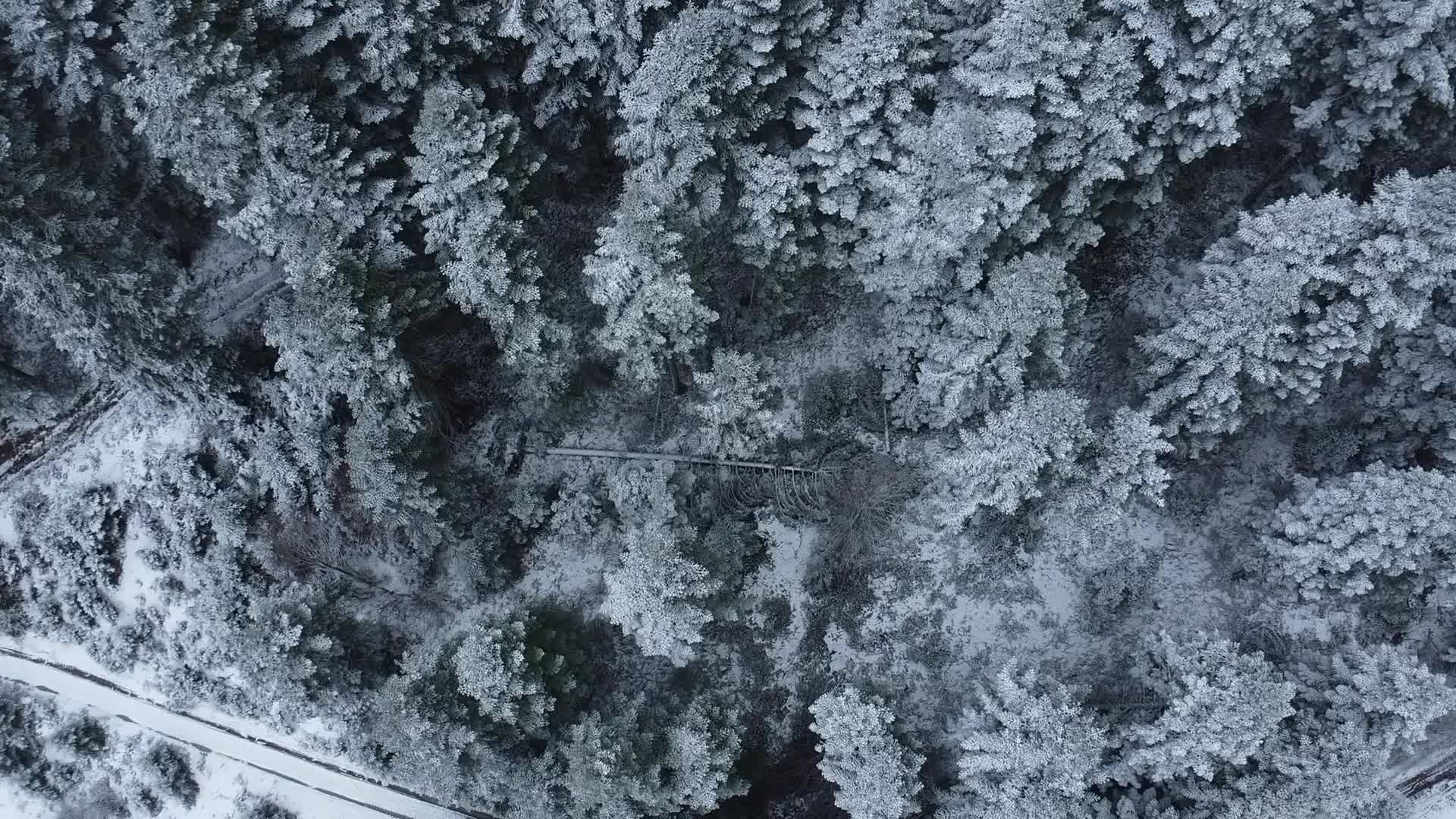 Drone View Of A Winter Landscape Free Stock Video Footage, Royalty-Free ...