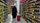 grocery store