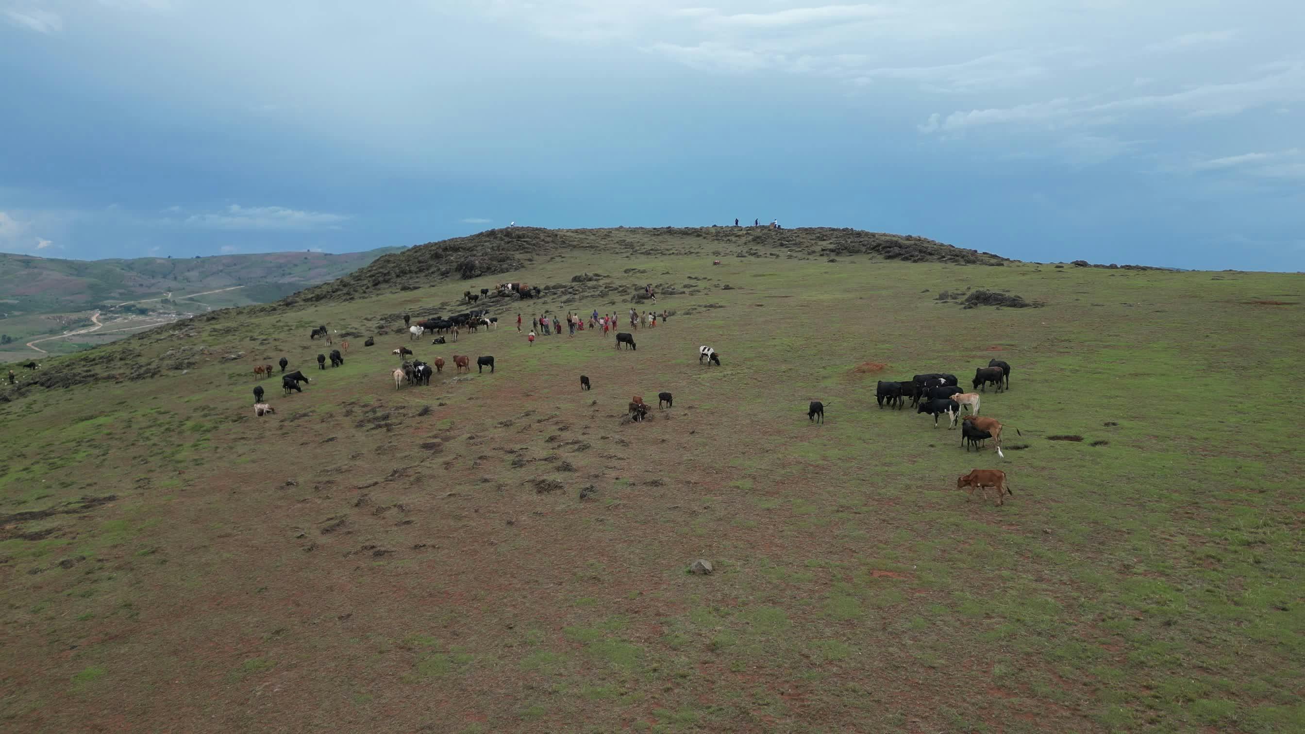 Turkish Ranch Videos, Download The BEST Free 4k Stock Video Footage ...