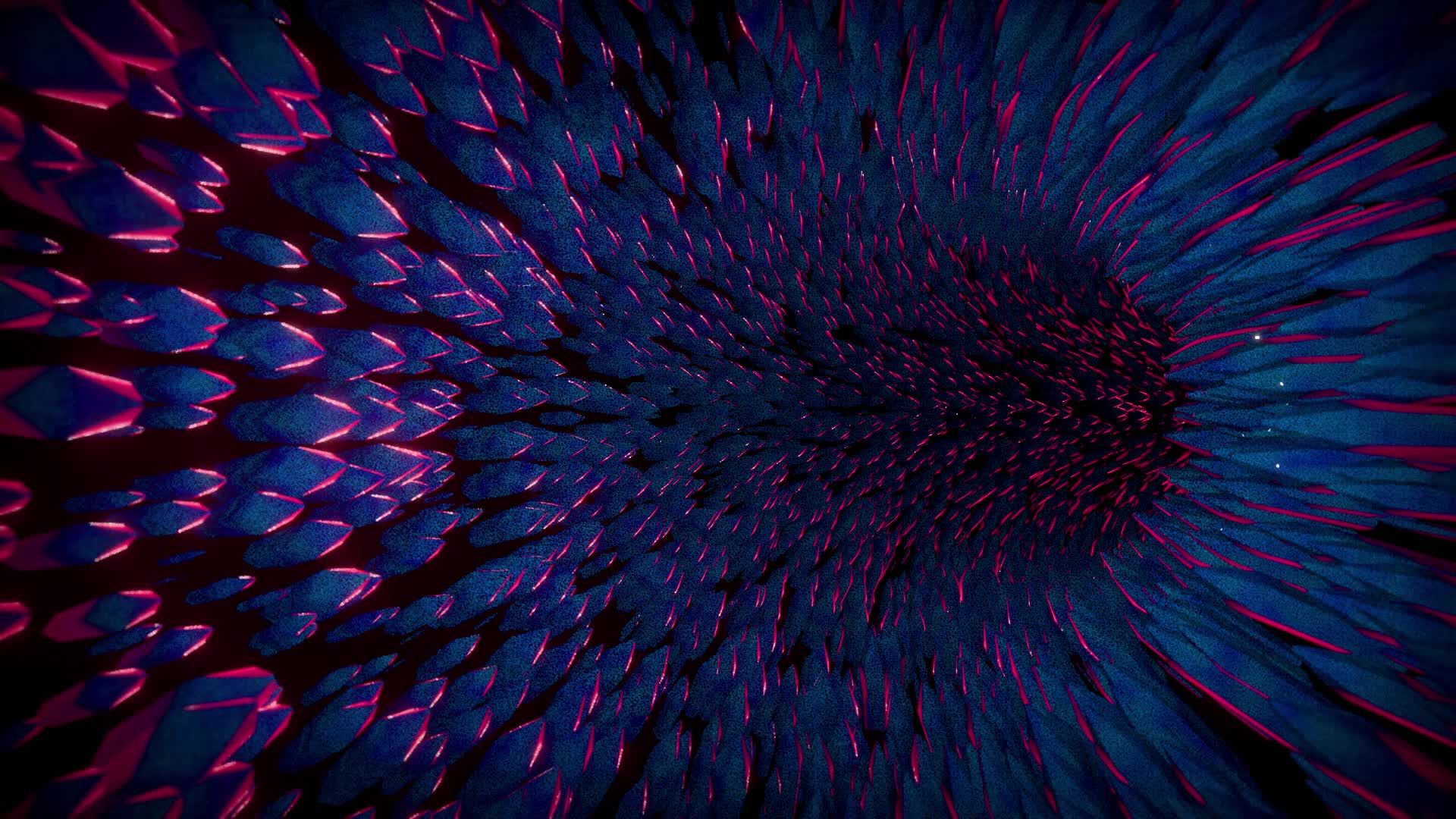 Video by Nicola Narracci