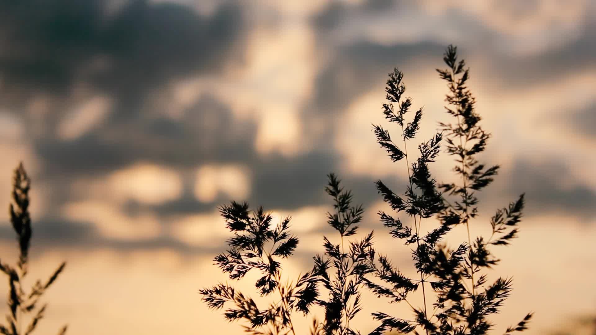 Video by Sini Ko