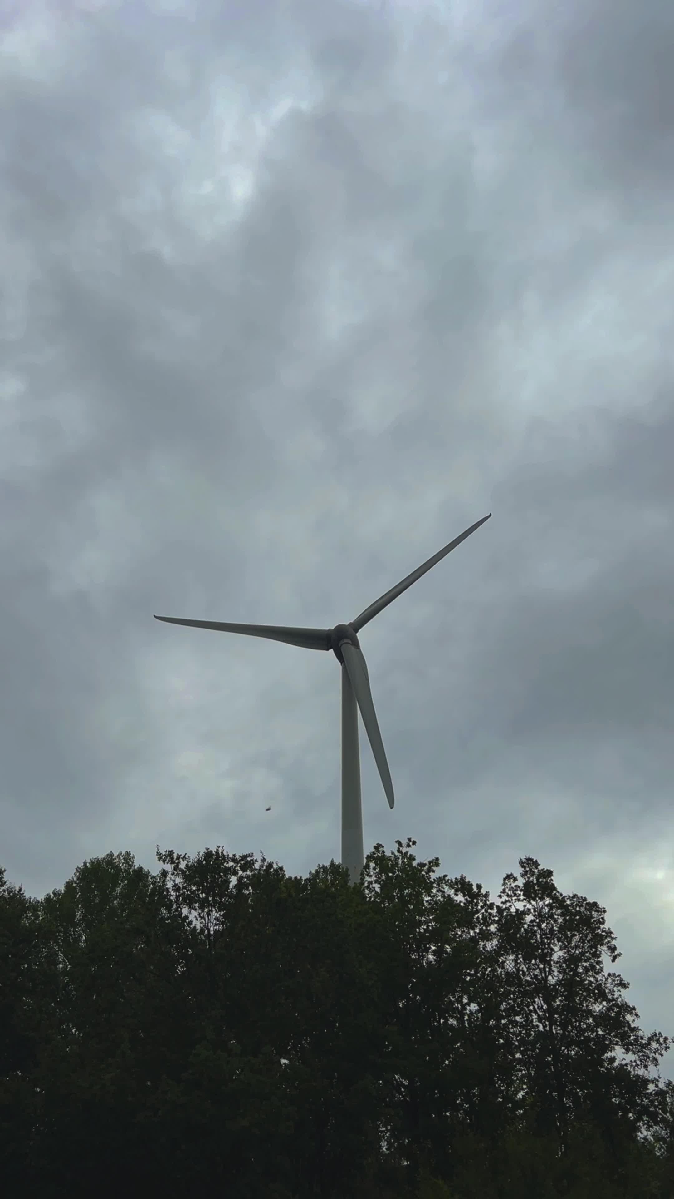 Wind Video Videos, Download The BEST Free 4k Stock Video Footage & Wind ...
