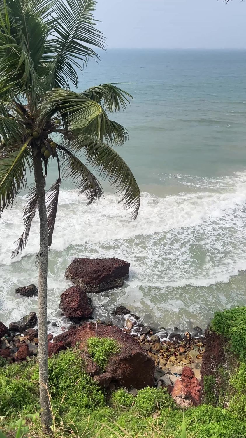 Scenic Ocean View with Palm Tree and Rocks Free Stock Video Footage ...