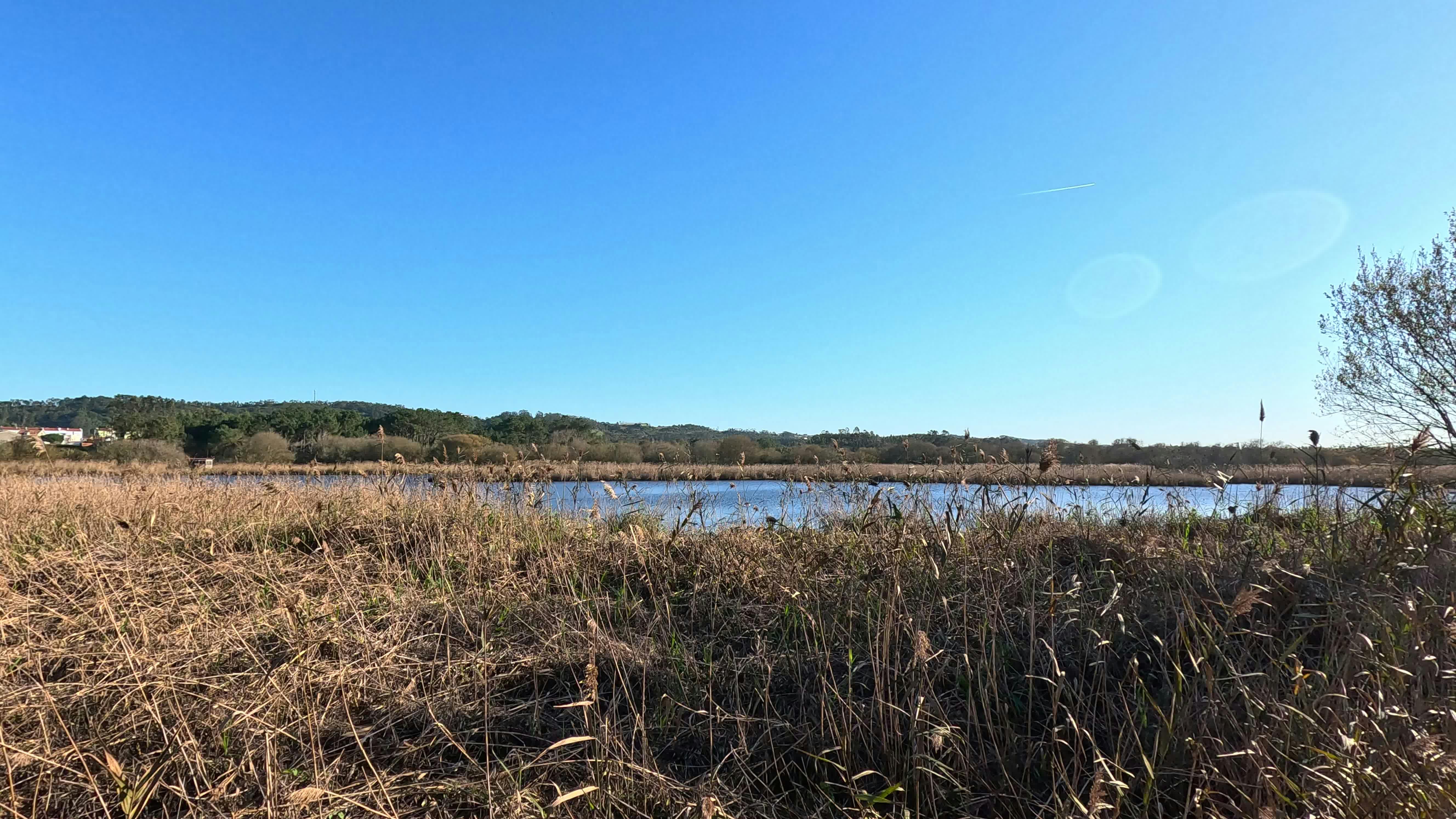 Video by Richard Multimedia