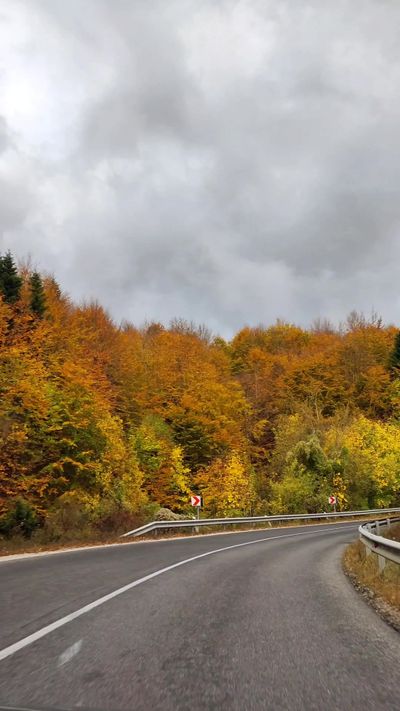 Scenic Autumn Drive Through Mountain Road Free Stock Video Footage ...