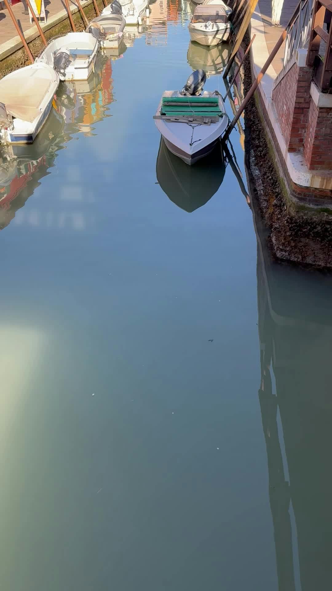 Video by Duc Tinh Ngo