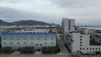 神经免费下载免费下载视频素材