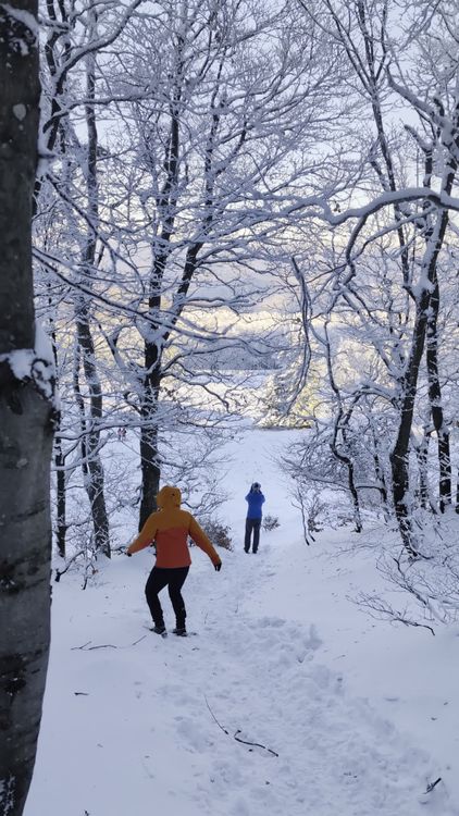 Winter Hike Through Snowy Forest Trail Free Stock Video Footage ...