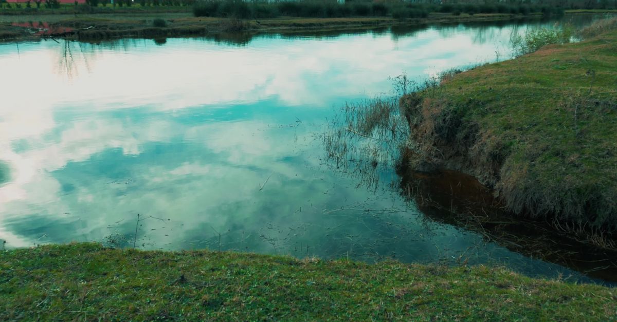 Reflective Rivers Scenic Riverbank with Reflective Water View Free Stock Video Footage ...