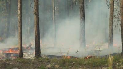 Webcam+Brush+Bate Videos, Download The BEST Free 4k Stock Video Footage