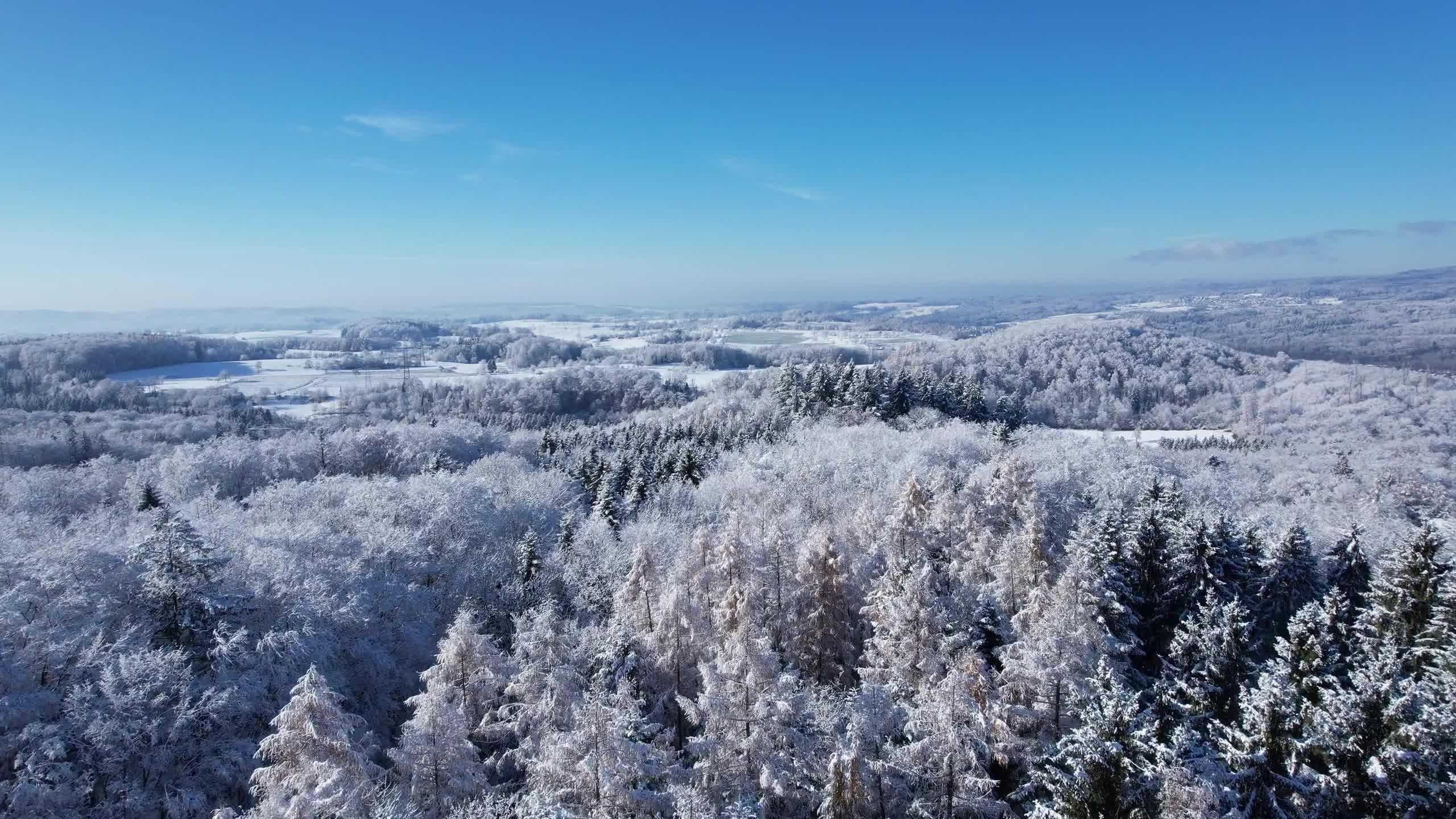 Breathtaking Aerial View of a Snowy Winter Forest Free Stock Video ...