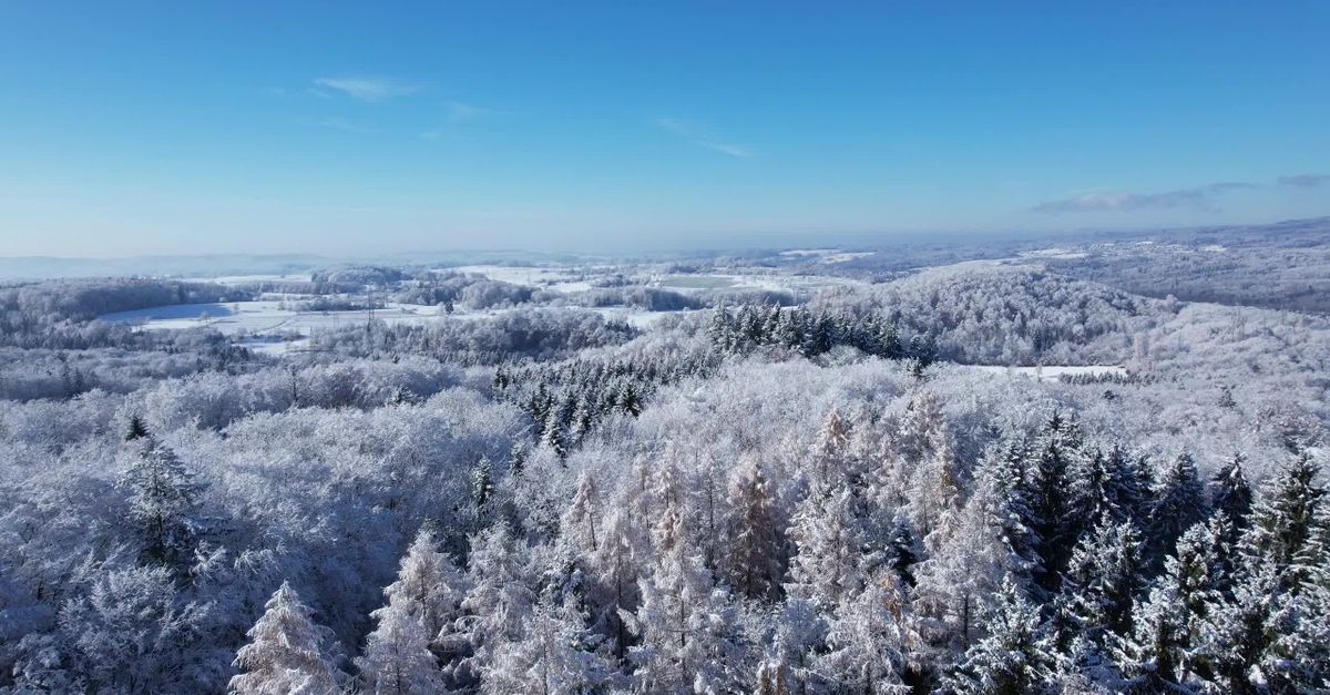 Basel Snow Breathtaking Aerial View of a Snowy Winter Forest Free Stock Video ...