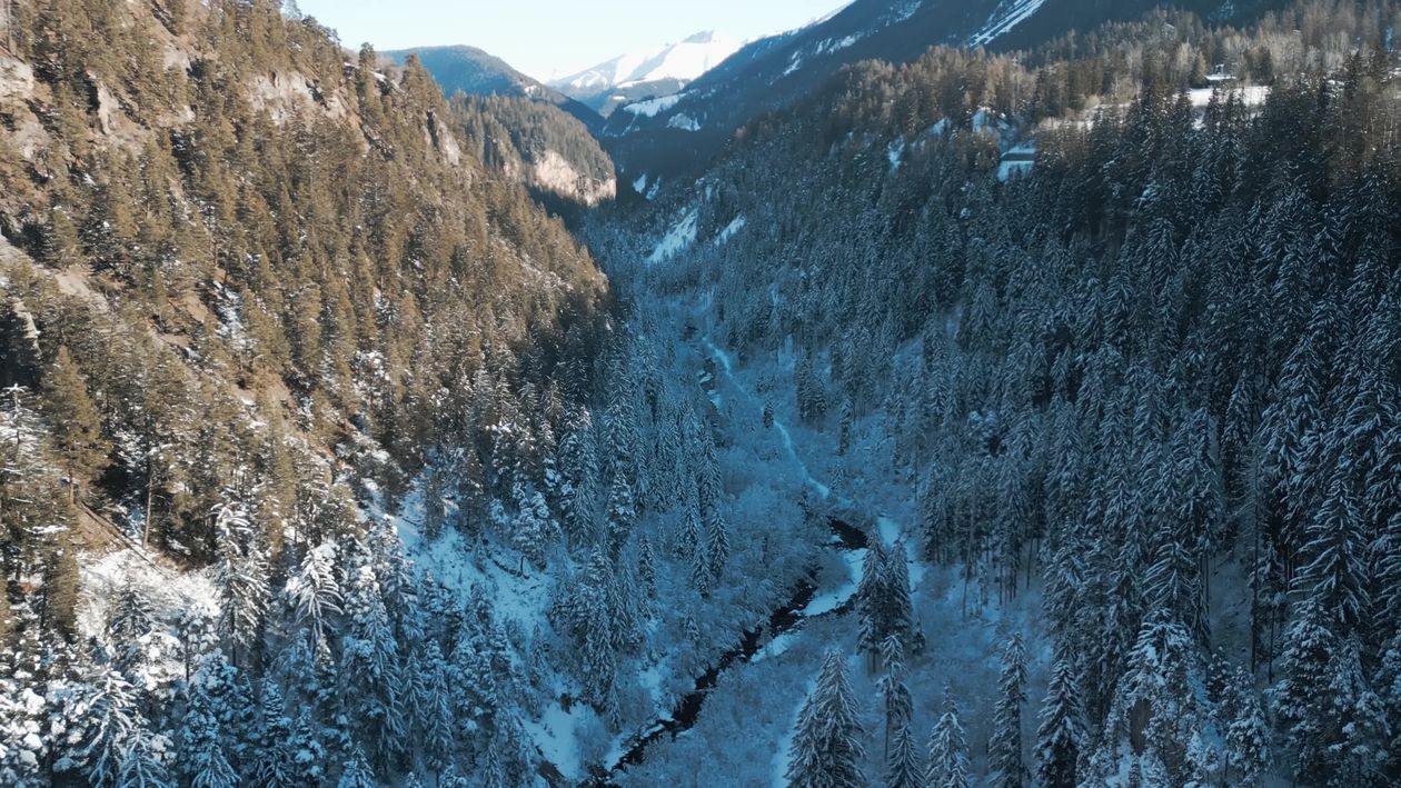 Aerial View of Snowy Forested Mountain Valley Free Stock Video Footage ...