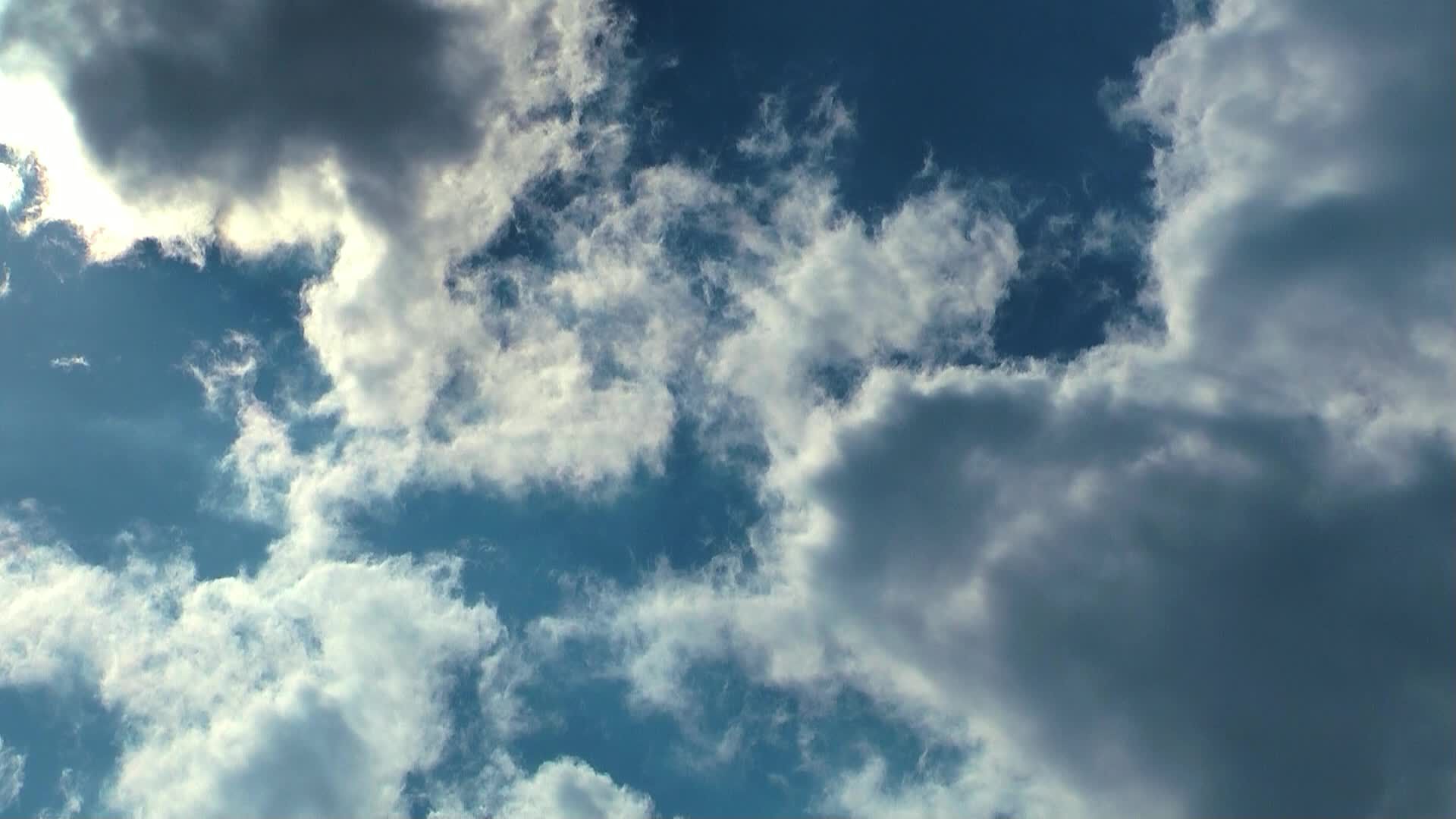Video by Nikolaus Bohuslaw