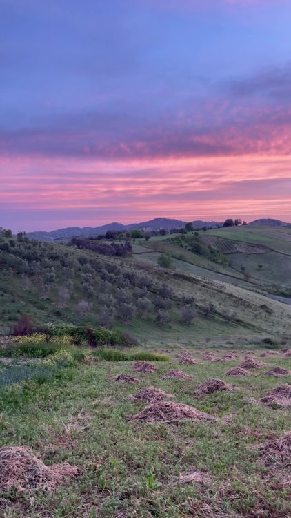 Breathtaking Sunset over Rolling Hills Landscape Free Stock Video ...