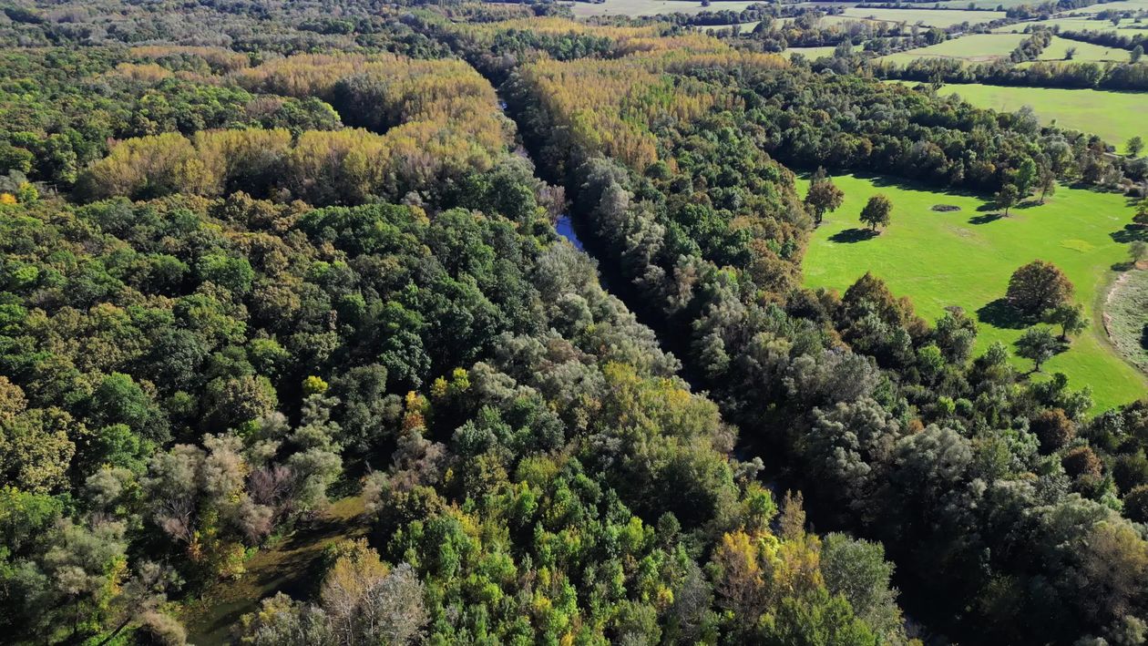 Aerial View of Lush Forest and River Landscape Free Stock Video Footage ...