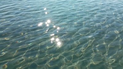 Shimmering Sunlight on Clear Water Surface Free Stock Video Footage ...
