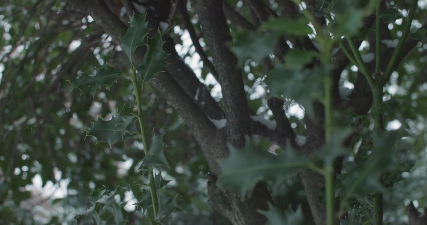 Close Up 4k Videos, Download The BEST Free 4k Stock Video Footage ...