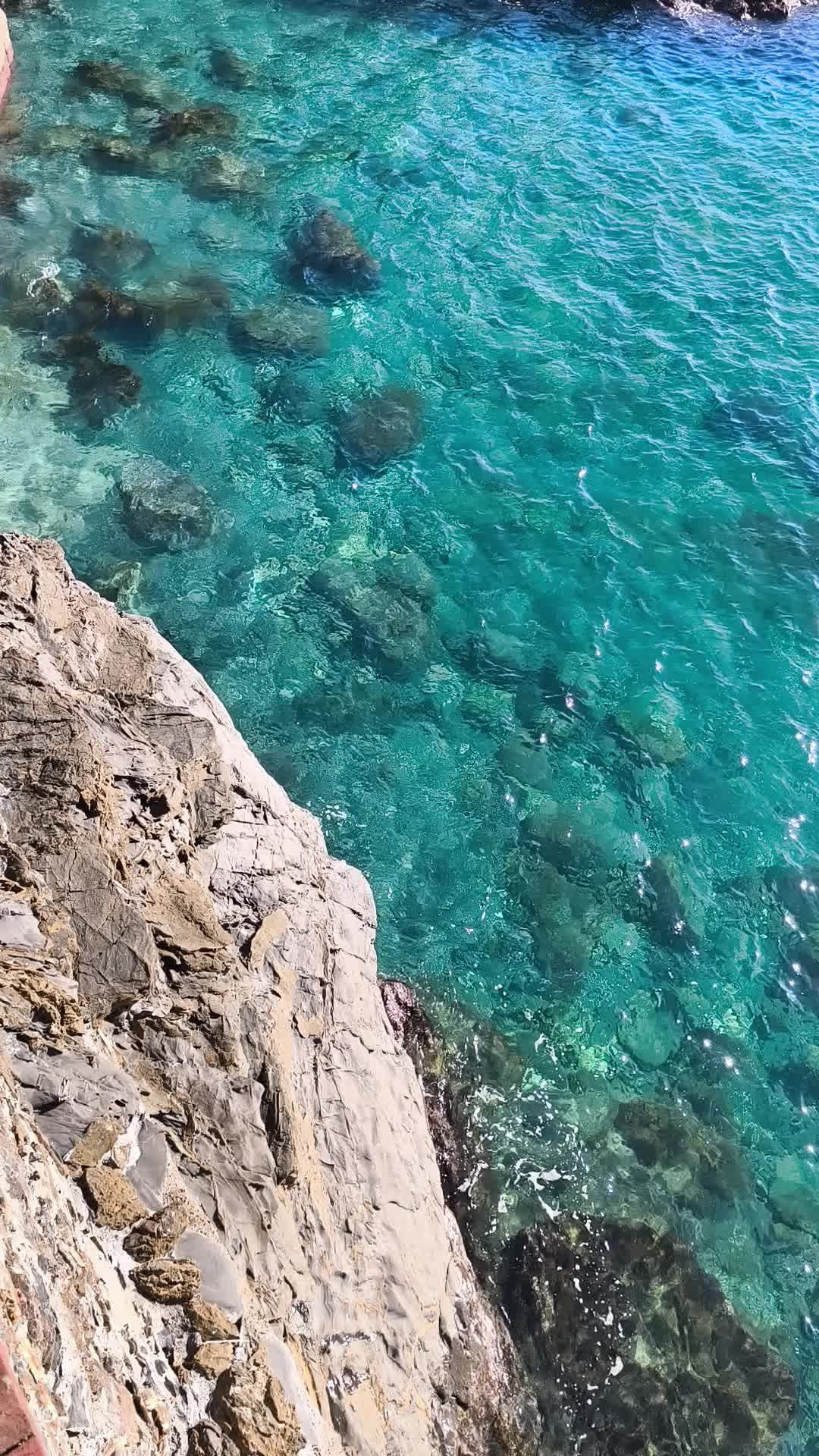 Environment Appreciation Videos, Download The BEST Free 4k Stock Video ...