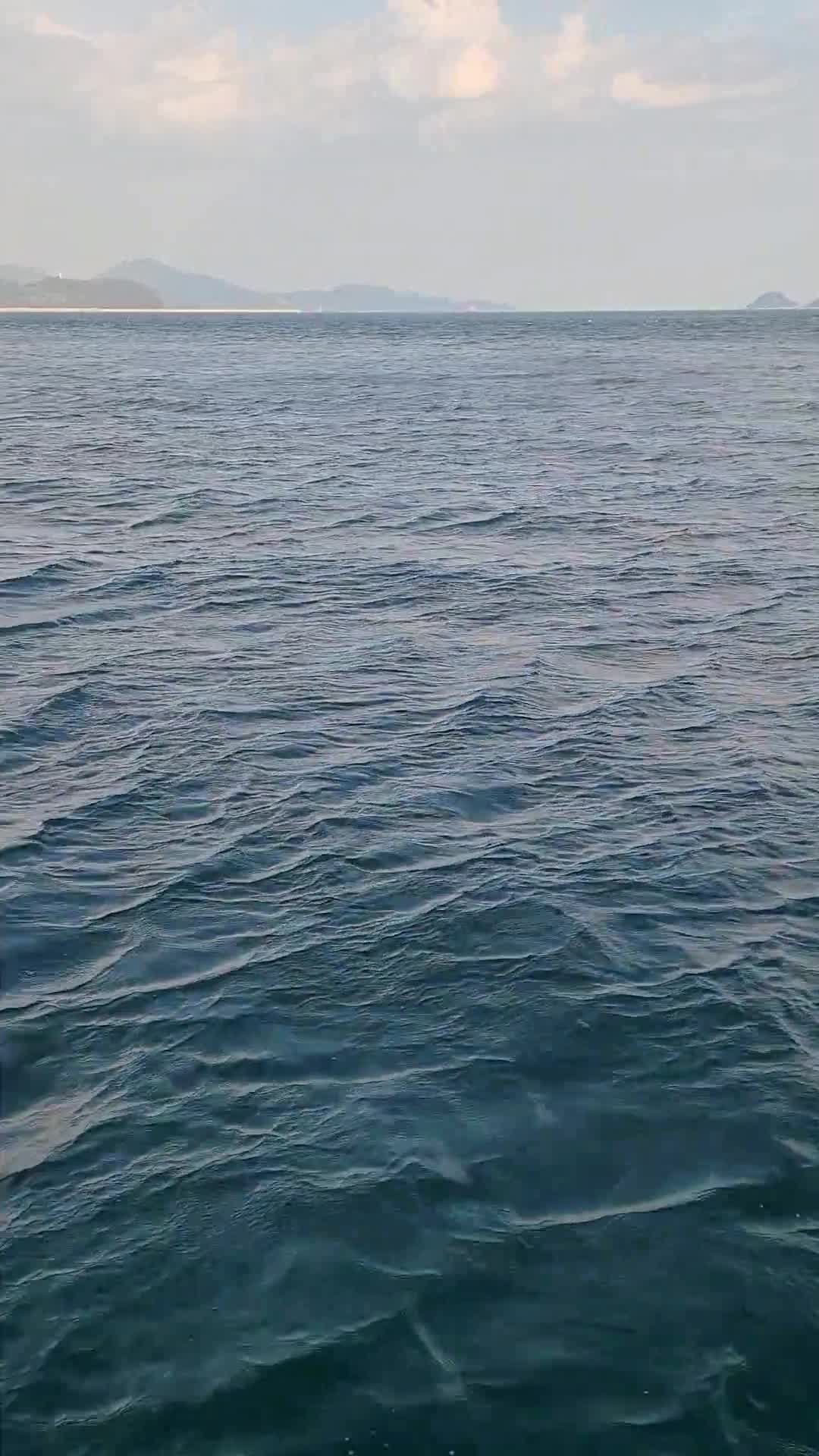 Video by TS L