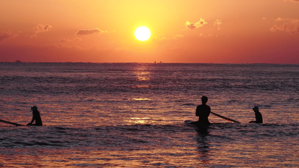 Sunset Silhouette of Surfers in the Ocean Free Stock Video Footage ...