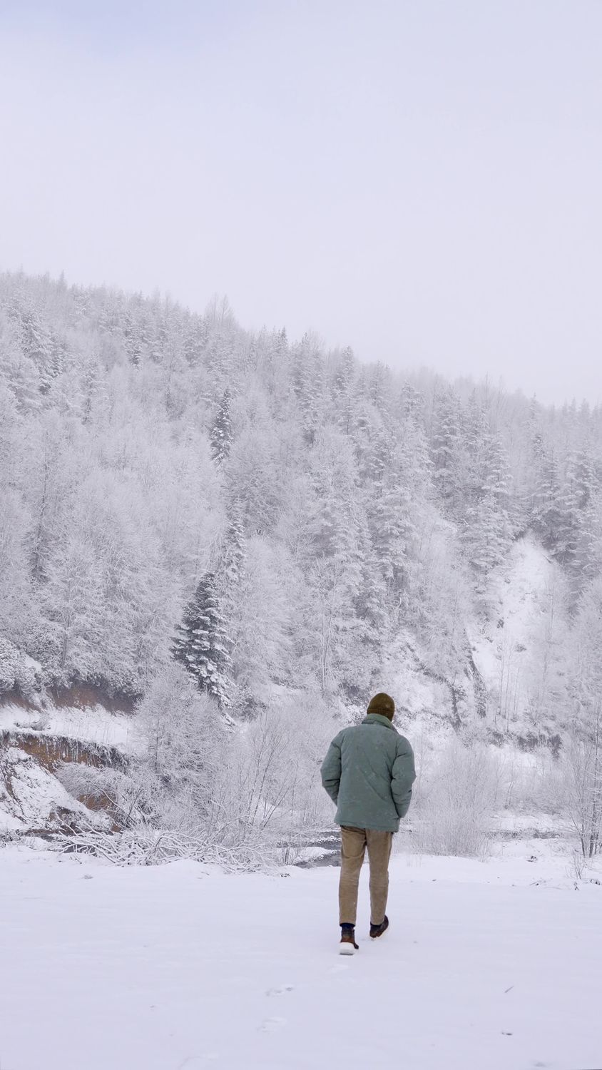 Solitary Walk in a Snow-Covered Forest Free Stock Video Footage ...