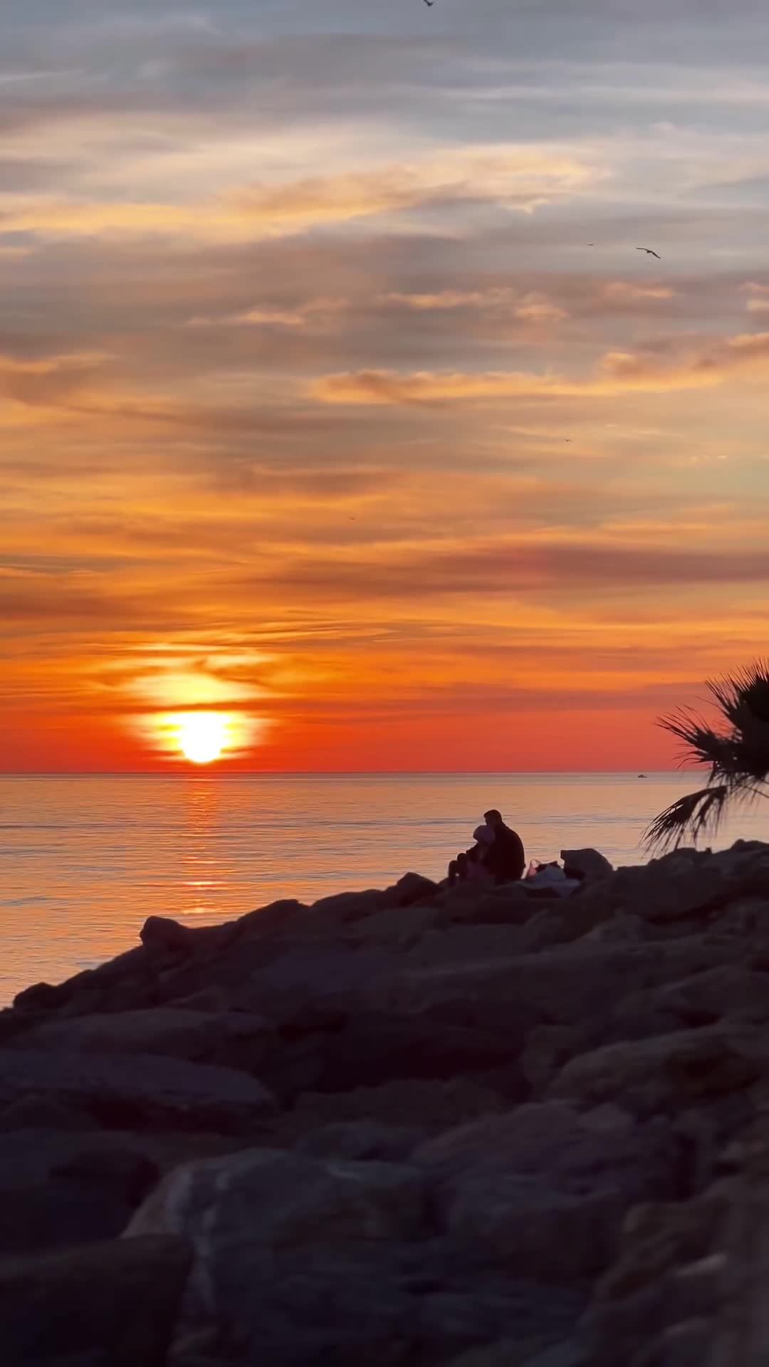 Sunset Serenity by the Ocean Shore Free Stock Video Footage, Royalty ...
