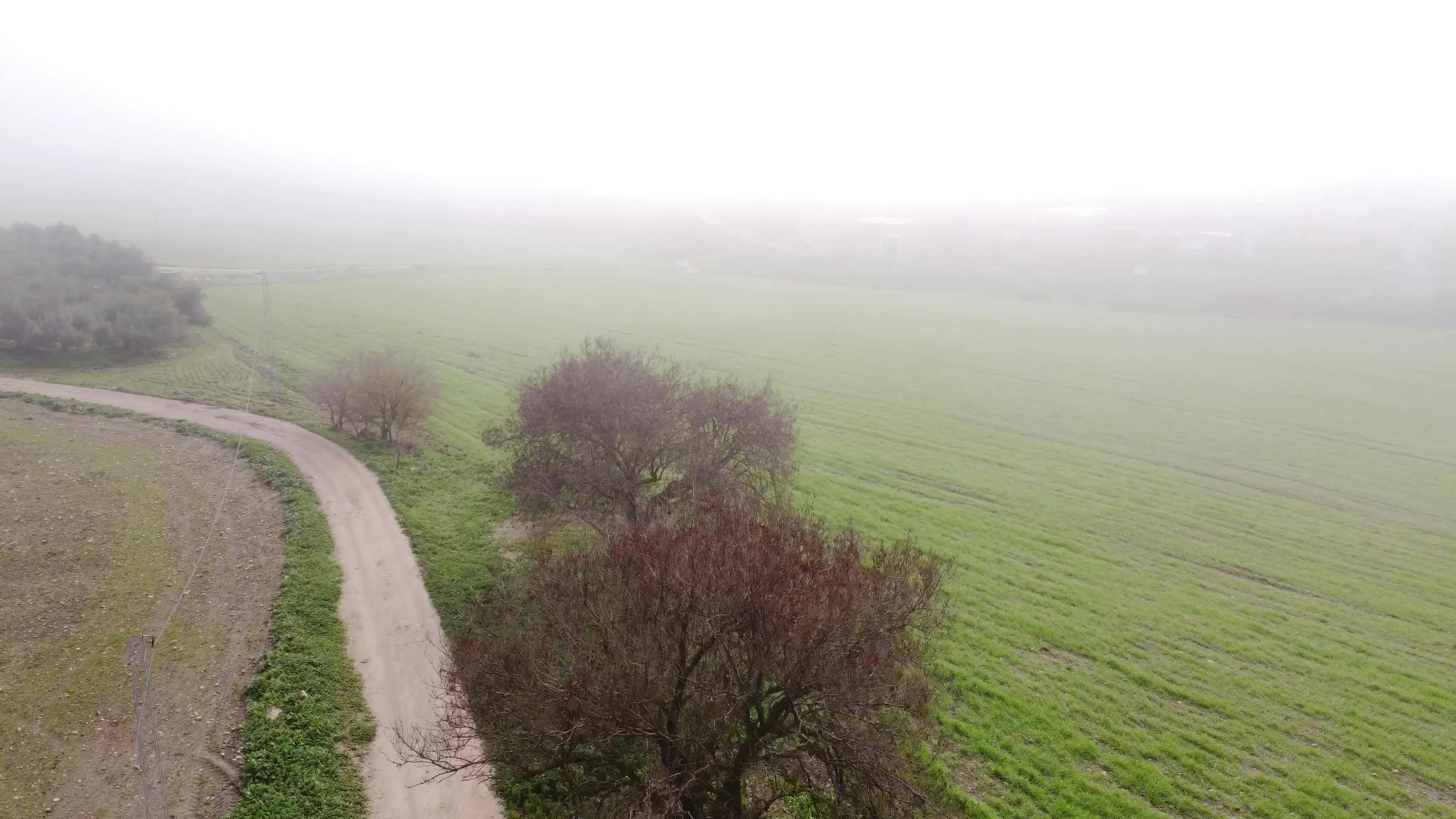 Video by sayari bechir