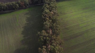 Aerial View of Lush Green Crop Fields Free Stock Video Footage, Royalty ...