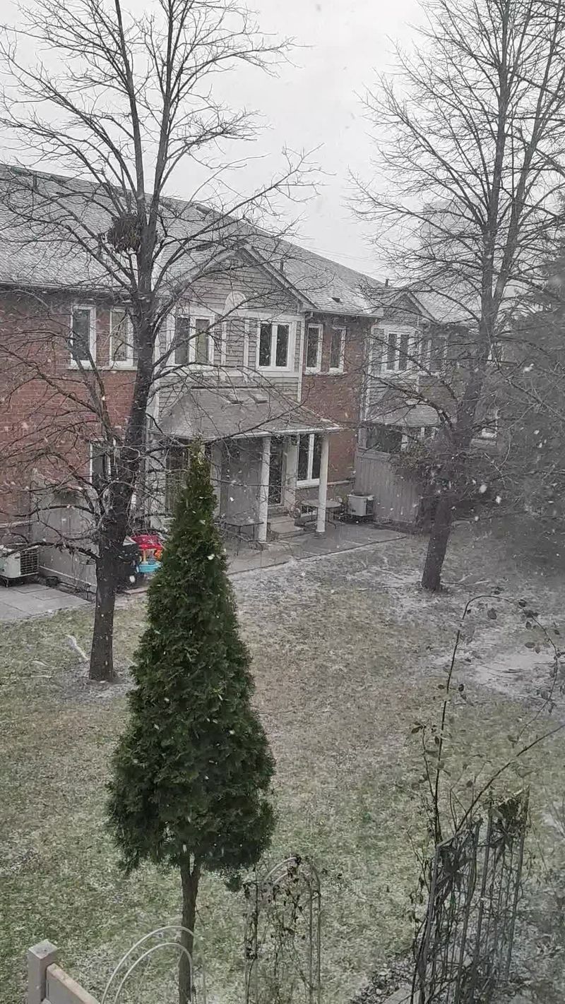 Snowy Urban Winter Scene in Suburban Canada Free Stock Video Footage ...