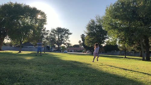 Kinder Spielen Gerne Frisbee Und Rennen In Einem Park Um Das Gras