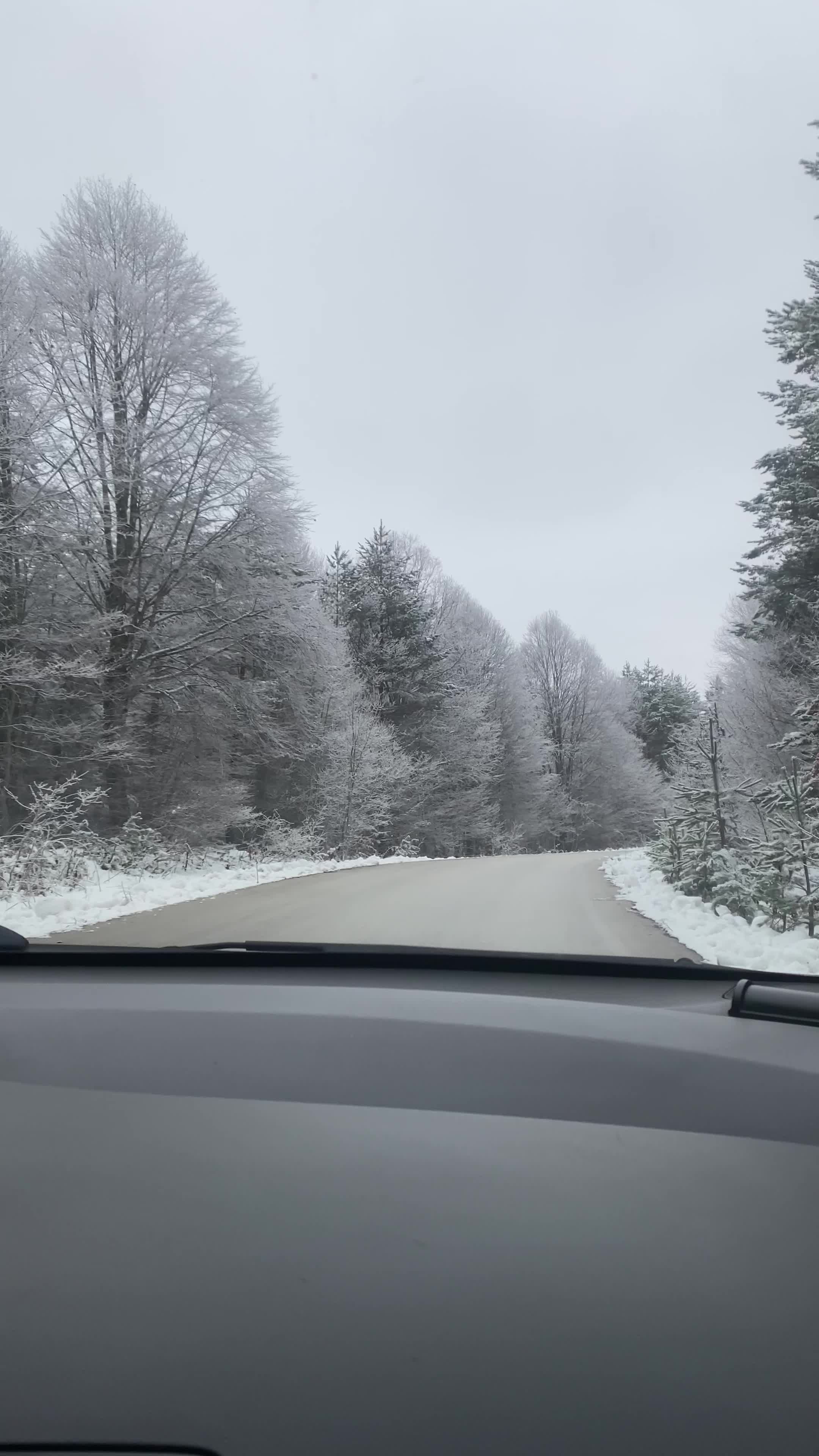 Scenic Winter Drive Through Snowy Forest Free Stock Video Footage ...