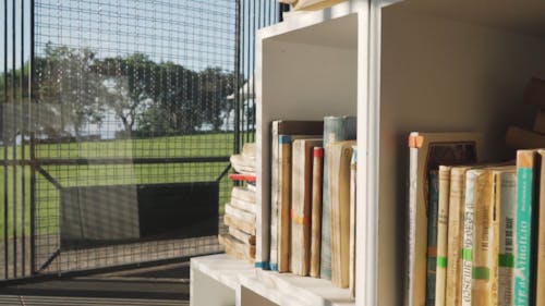 Livros Em Estantes De Madeira Protegidas Por Uma Jaula Em Um Parque Público