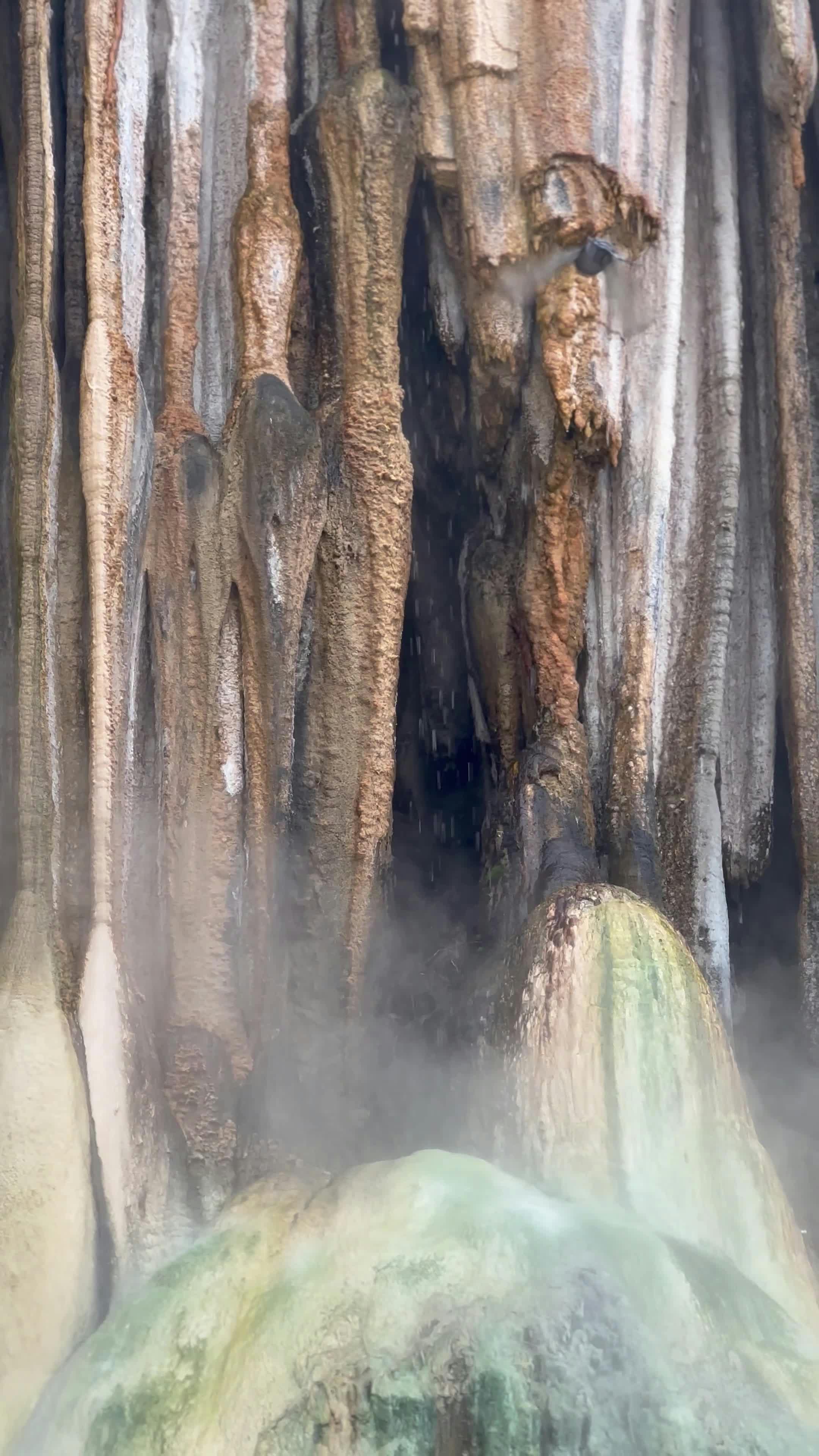 Video by Carmen Soler