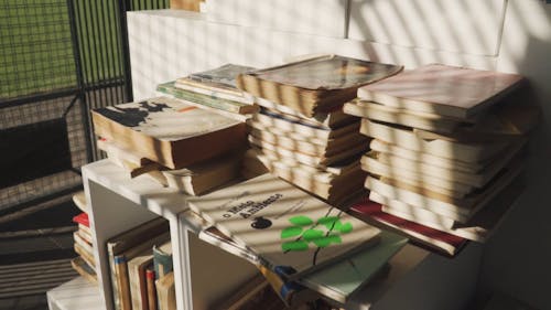 Piles And Layers Of Book For Reading Placed In A Book Shelves