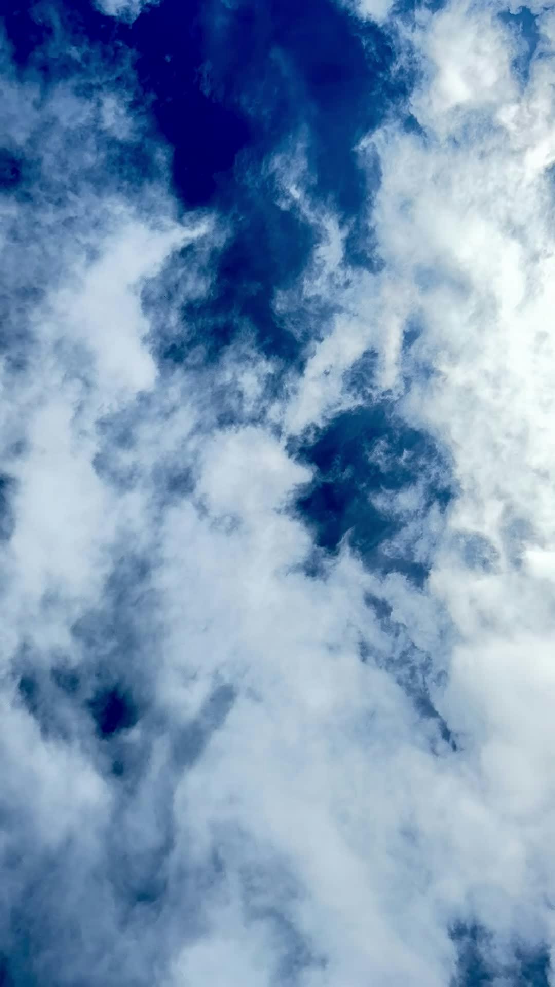 Video by Mohit Singh