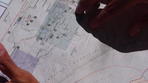 Man Looking At A Map